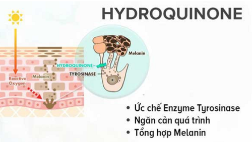 Hydroquinone là gì, có trong mỹ phẩm nào ?